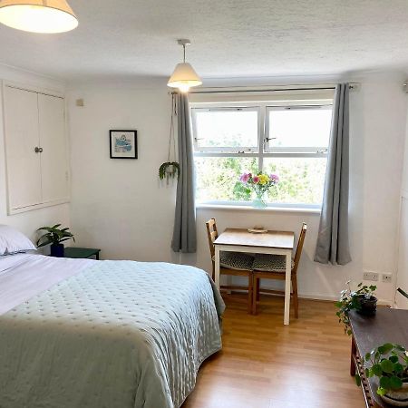 לונדון Bright And Comfortable Studio Apartment מראה חיצוני תמונה