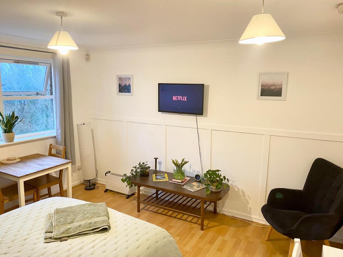 לונדון Bright And Comfortable Studio Apartment מראה חיצוני תמונה